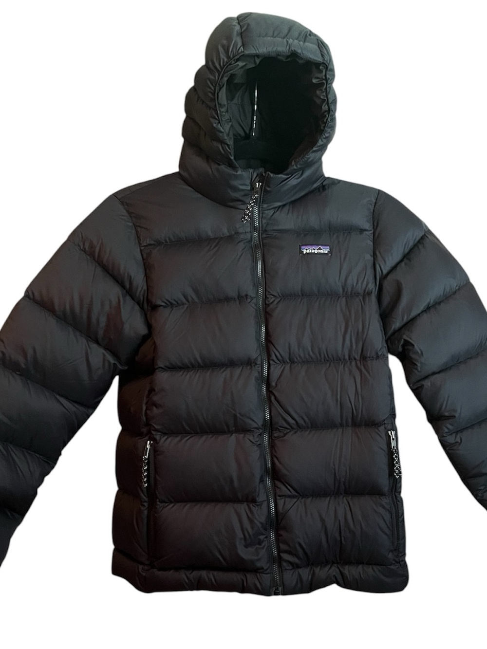 Patagonia Black Puffer Down Jacket with Hood